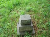 image of grave number 333916